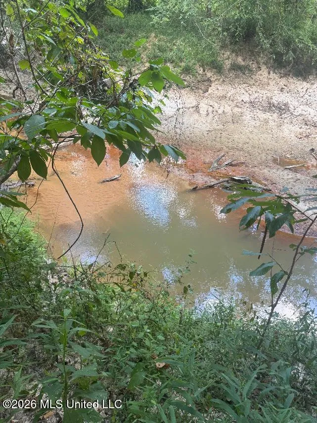 00 Nelson Corner Road Roxie, MS 39661