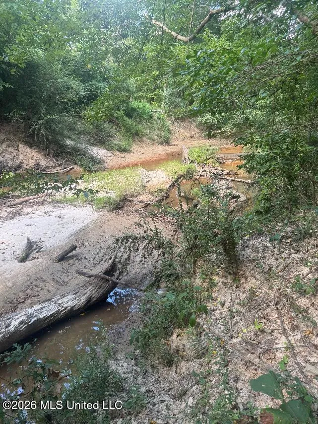 00 Nelson Corner Road Roxie, MS 39661