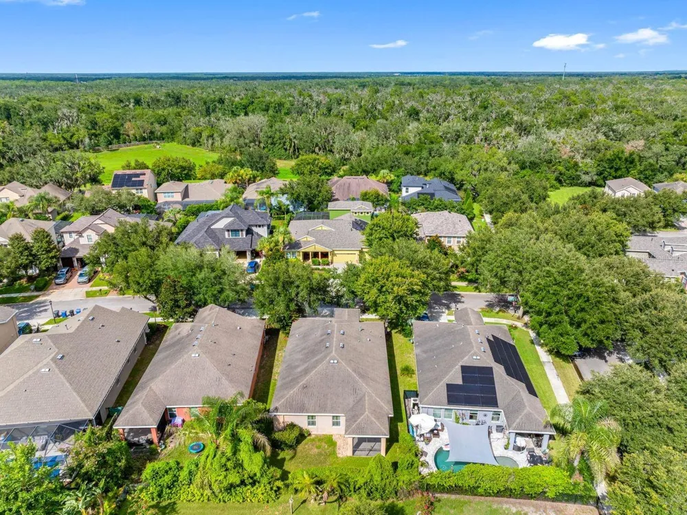 15913 OAKLEAF RUN DRIVE Lithia, FL 33547