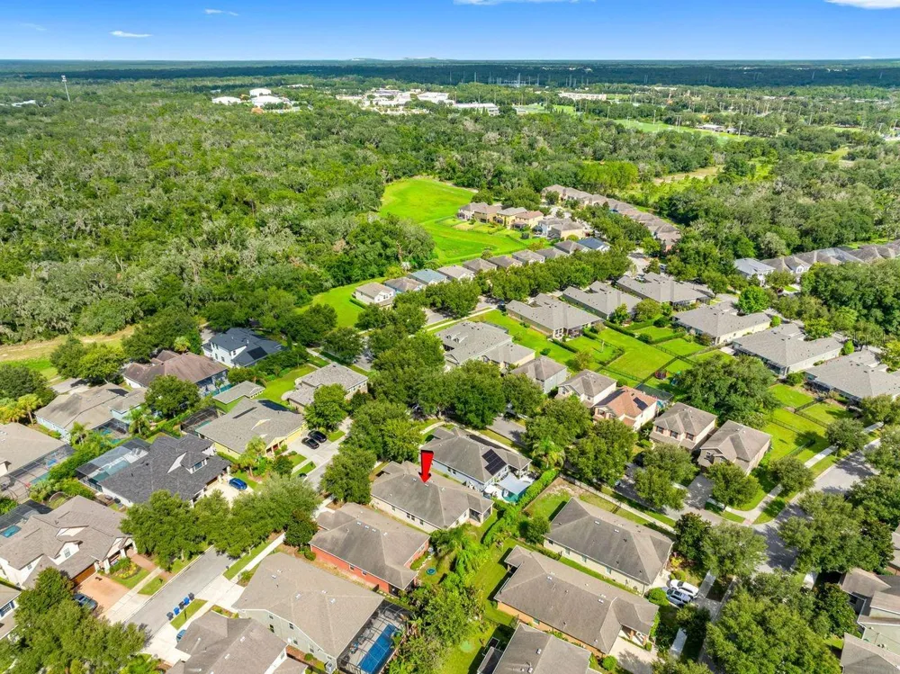 15913 OAKLEAF RUN DRIVE Lithia, FL 33547