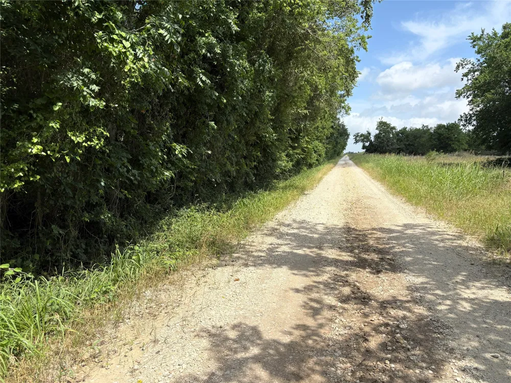 LCR 663 Kosse, TX 76653