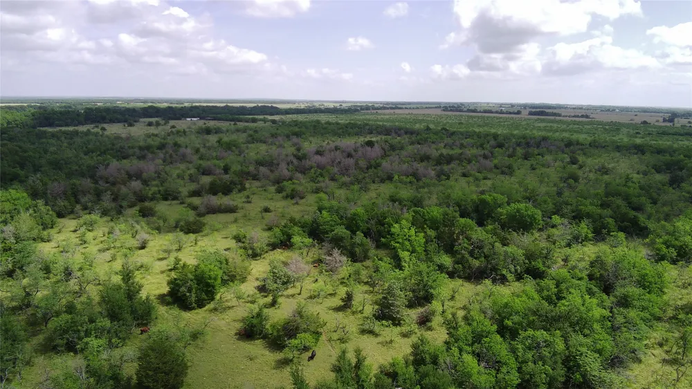LCR 663 Kosse, TX 76653