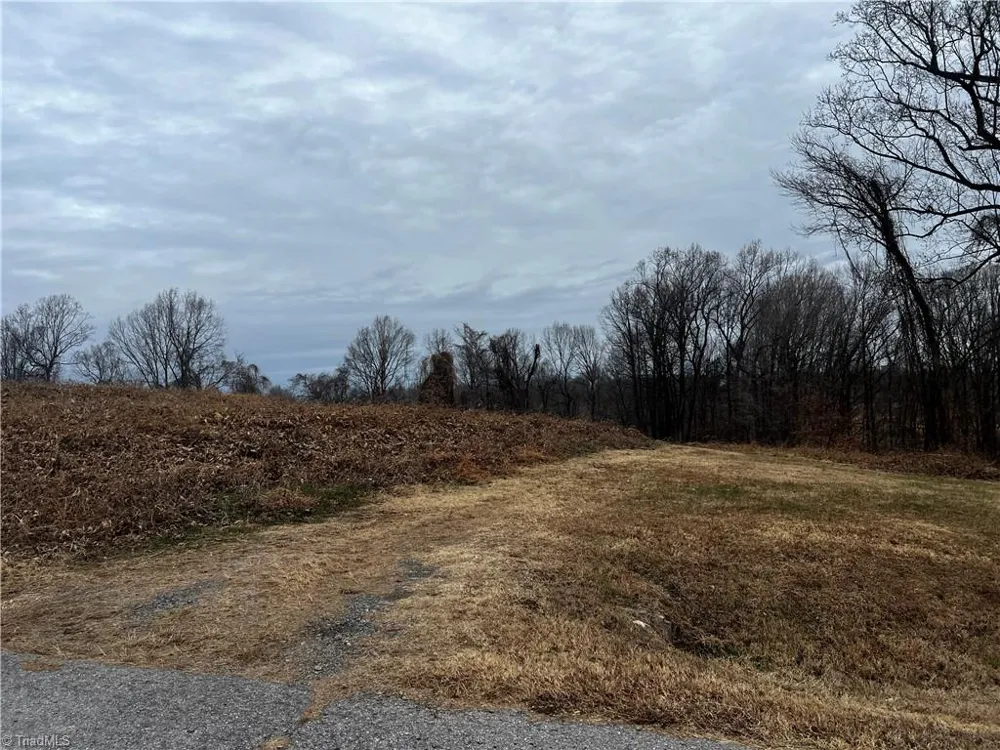 0 Willow Street Reidsville, NC 27320