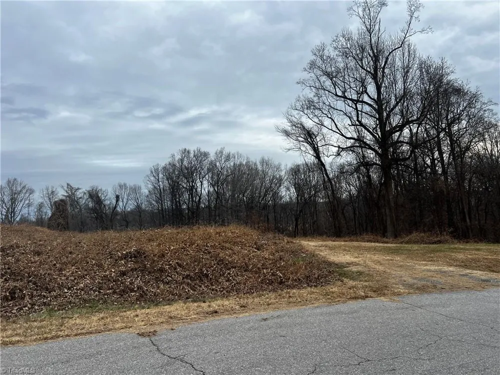0 Willow Street Reidsville, NC 27320