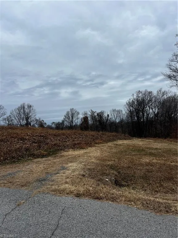 0 Willow Street Reidsville, NC 27320