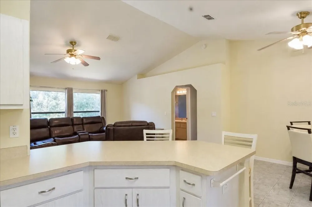 21875 NE 135TH LANE Fort Mc Coy, FL 32134