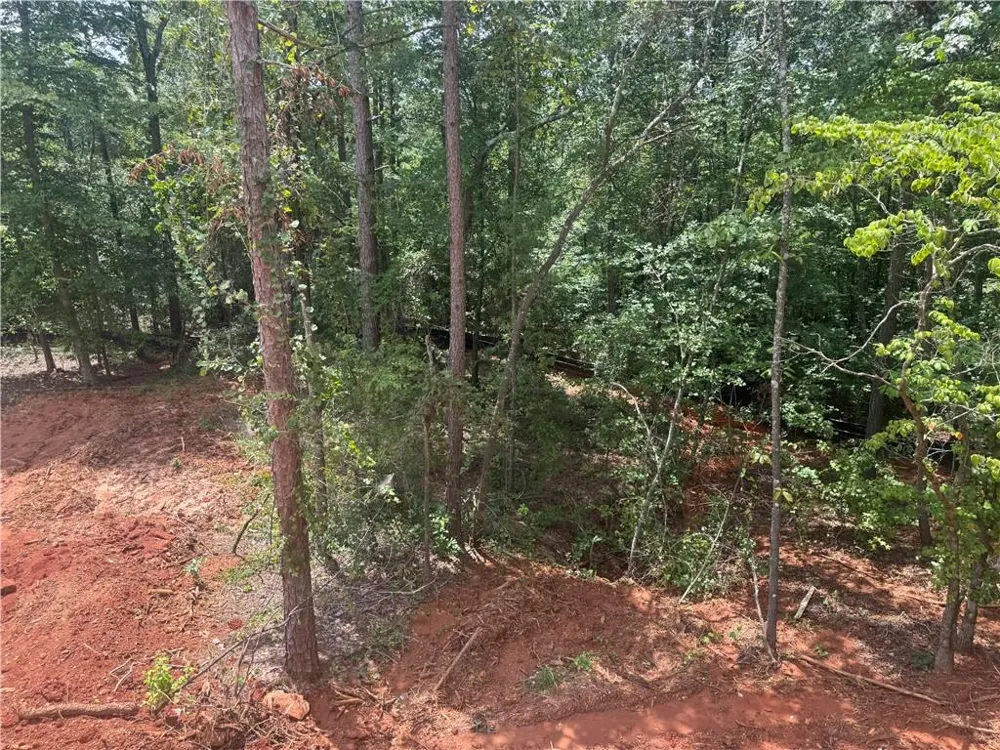 158 Blackberry Court Pendergrass, GA 30567