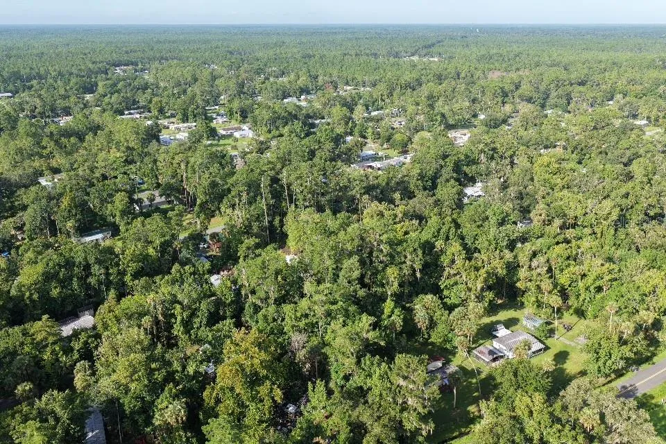 GOBBLER ROAD Astor, FL 32102
