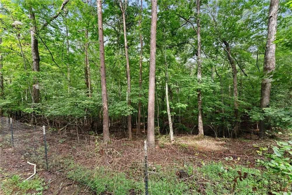 34 Somerset Place Dahlonega, GA 30533