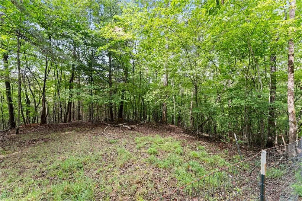 34 Somerset Place Dahlonega, GA 30533