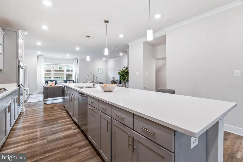 1309 CRAMPTON PLACE Brunswick, MD 21716