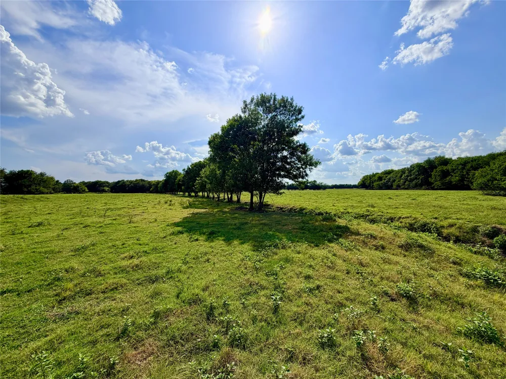 2396 CR 2145 Cooper, TX 75432