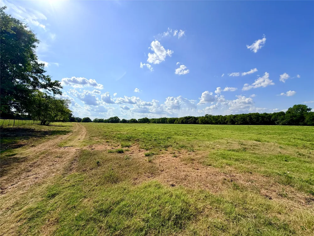 2396 CR 2145 Cooper, TX 75432