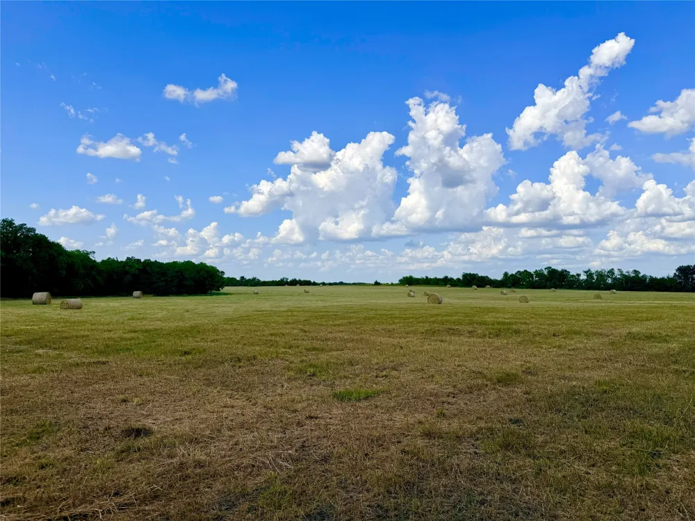 2396 CR 2145 Cooper, TX 75432