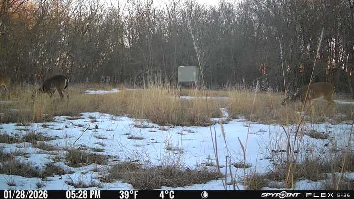 2396 CR 2145 Cooper, TX 75432
