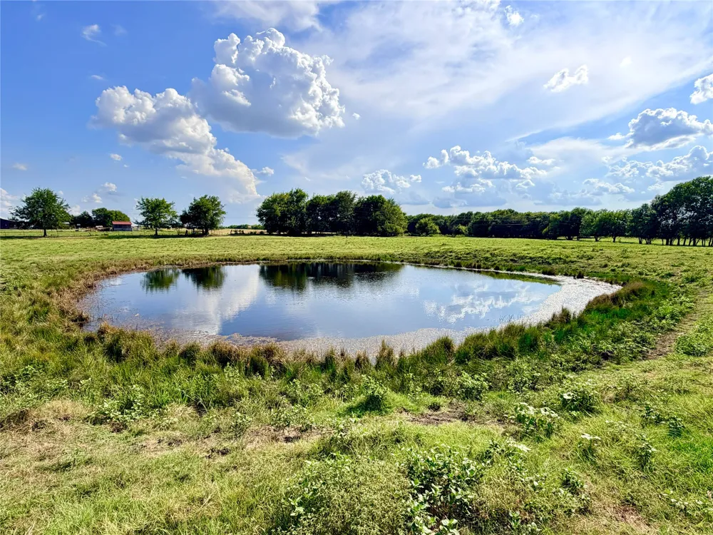 2396 CR 2145 Cooper, TX 75432