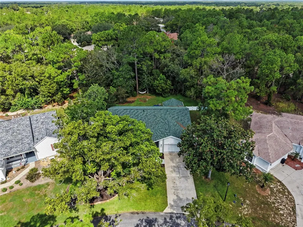 10 COLUBRINA COURT Homosassa, FL 34446