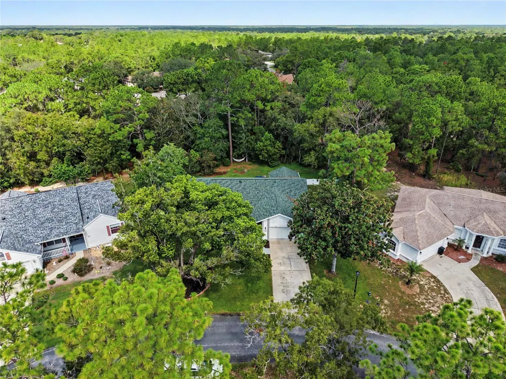 10 COLUBRINA COURT Homosassa, FL 34446