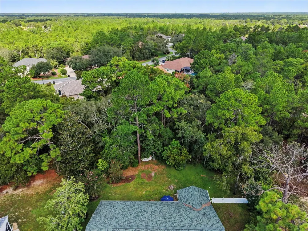 10 COLUBRINA COURT Homosassa, FL 34446