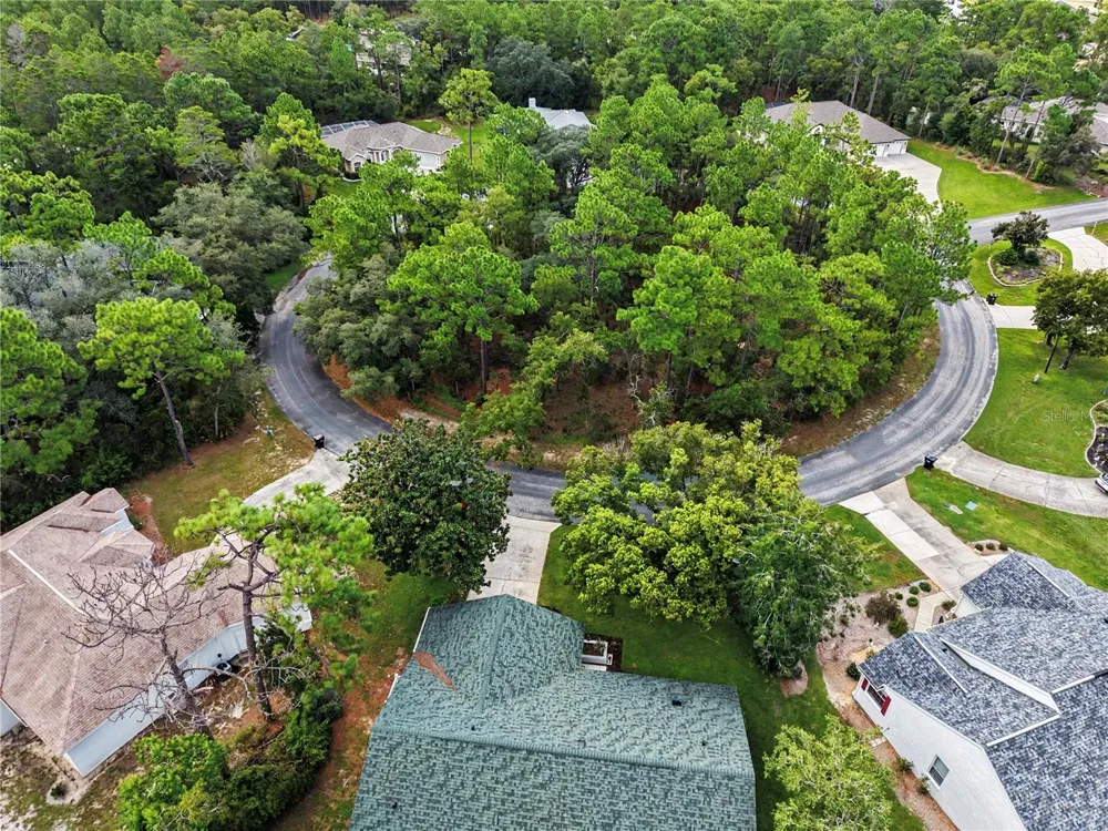 10 COLUBRINA COURT Homosassa, FL 34446