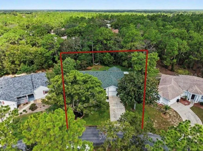 10 COLUBRINA COURT Homosassa, FL 34446