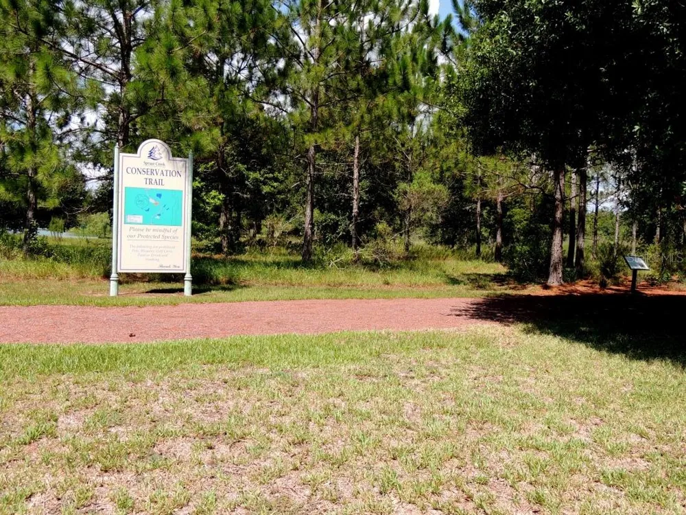 9211 SE 130TH LOOP Summerfield, FL 34491