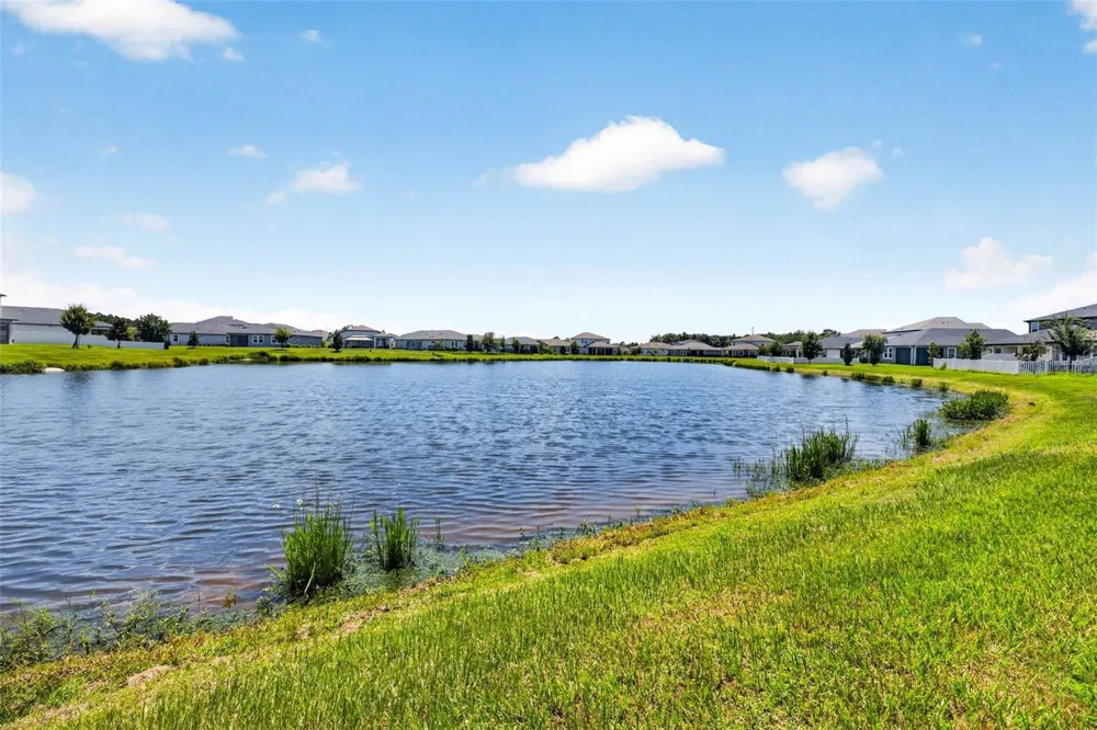 7182 HERON WALK LANE Wesley Chapel, FL 33545