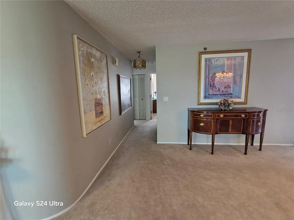 8186 TERRACE GARDEN DRIVE #409 St Petersburg, FL 33709