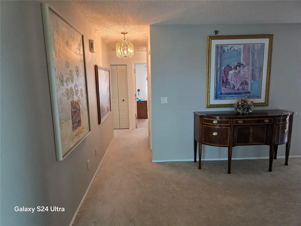 8186 TERRACE GARDEN DRIVE #409 St Petersburg, FL 33709