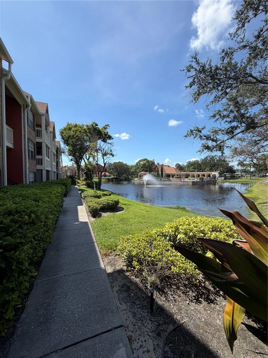 10200 GANDY BOULEVARD #1235 St Petersburg, FL 33702