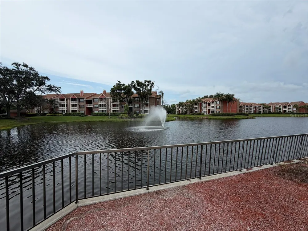 10200 GANDY BOULEVARD #1235 St Petersburg, FL 33702