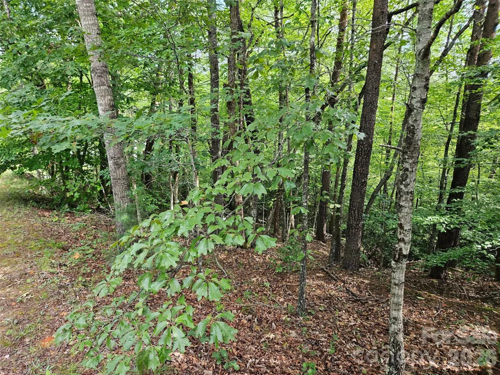 0 Hawks Terrace #313 Lake Lure, NC 28746