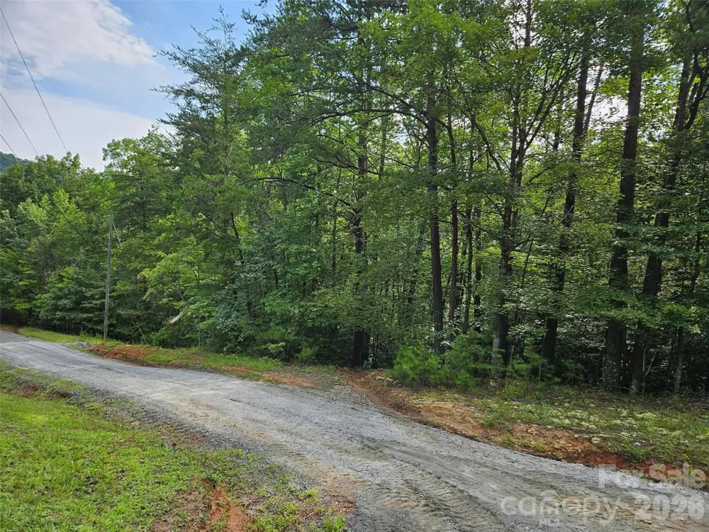 0 Hawks Terrace #313 Lake Lure, NC 28746