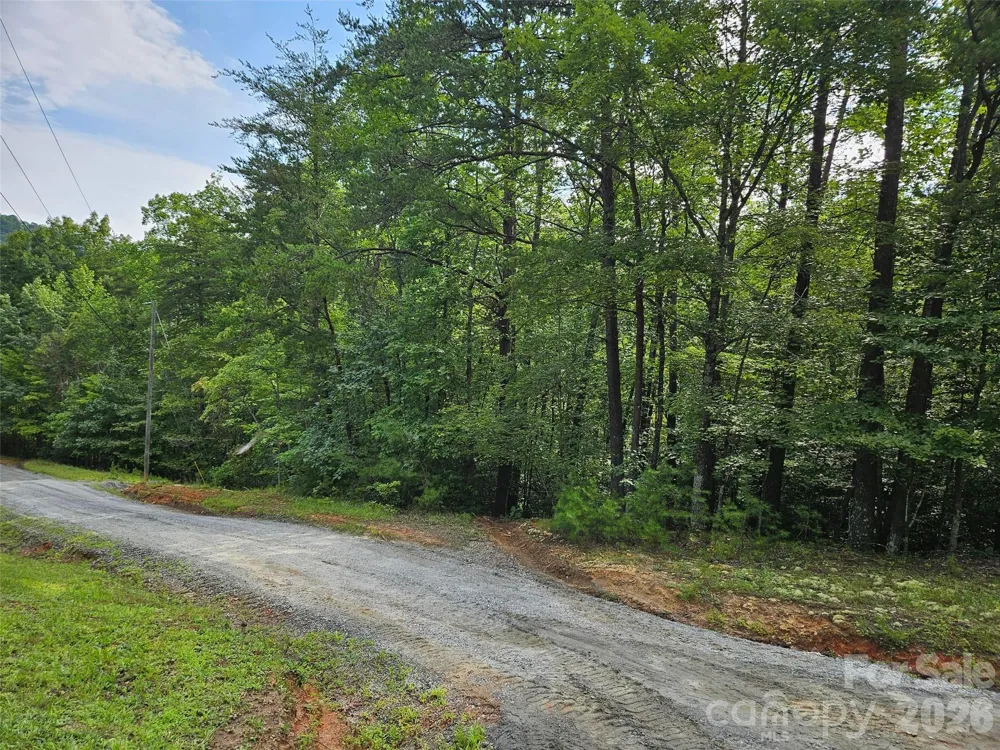0 Hawks Terrace #313 Lake Lure, NC 28746