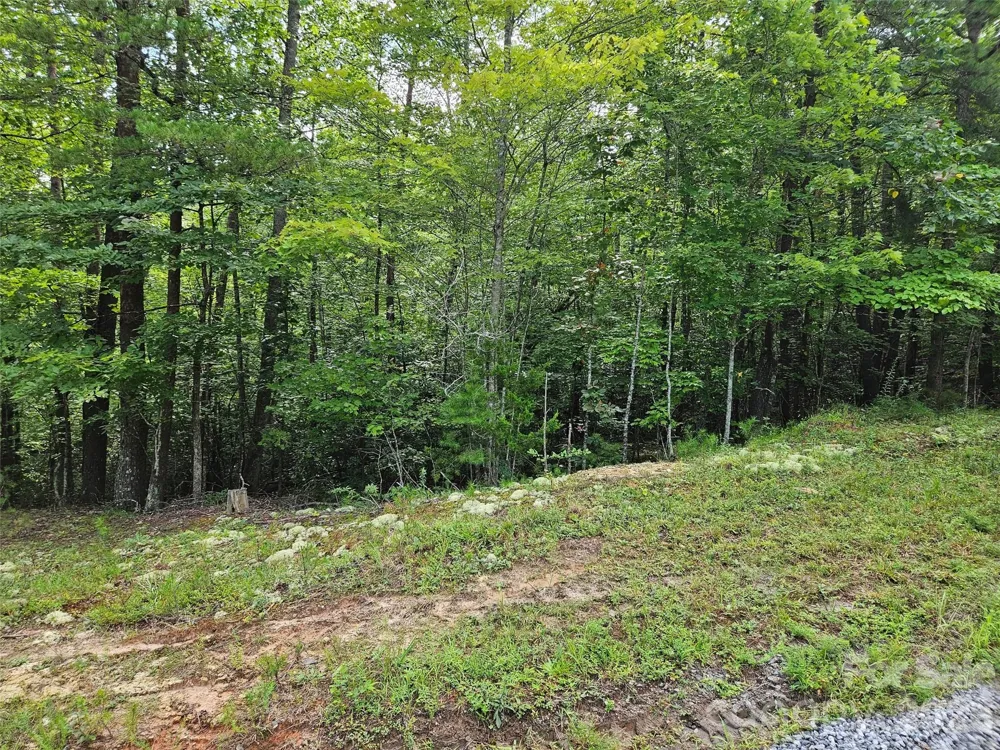 0 Hawks Terrace #313 Lake Lure, NC 28746