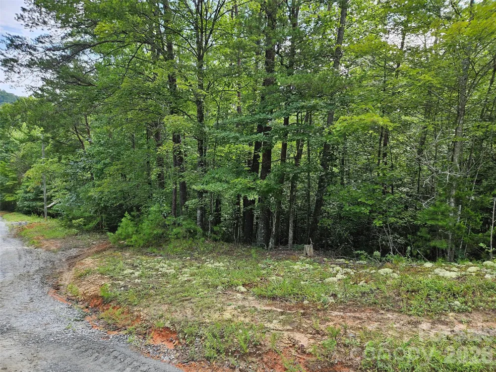 0 Hawks Terrace #313 Lake Lure, NC 28746