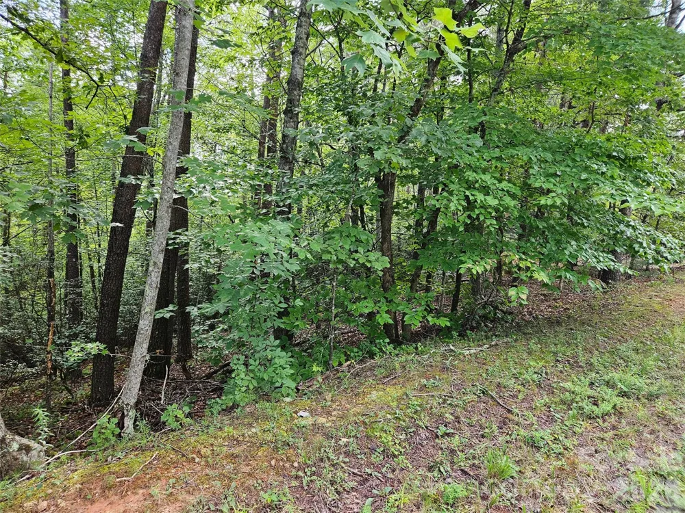 0 Hawks Terrace #313 Lake Lure, NC 28746