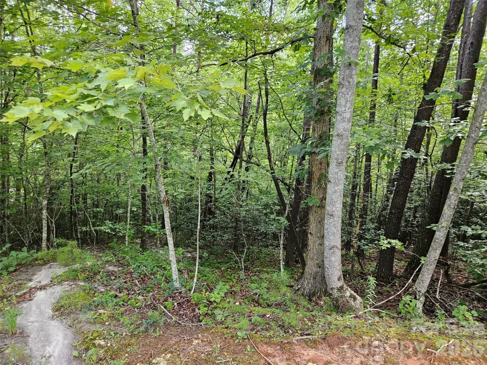 0 Hawks Terrace #313 Lake Lure, NC 28746