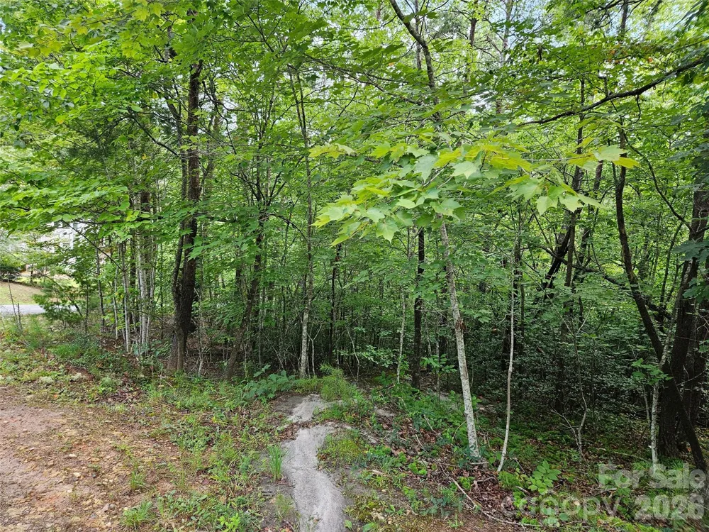 0 Hawks Terrace #313 Lake Lure, NC 28746