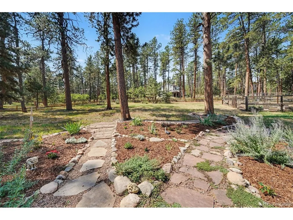 4976 Red Rock Drive Larkspur, CO 80118