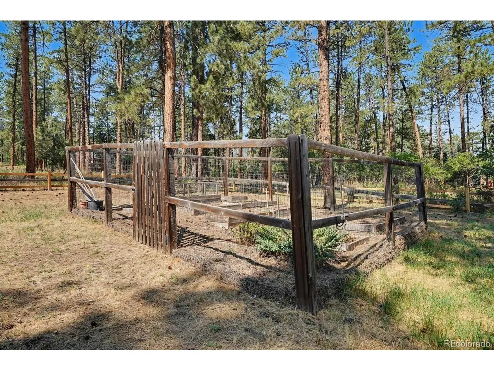 4976 Red Rock Drive Larkspur, CO 80118