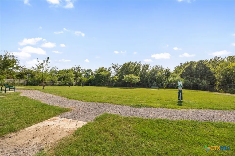 449 Conchillos Drive Georgetown, TX 78626