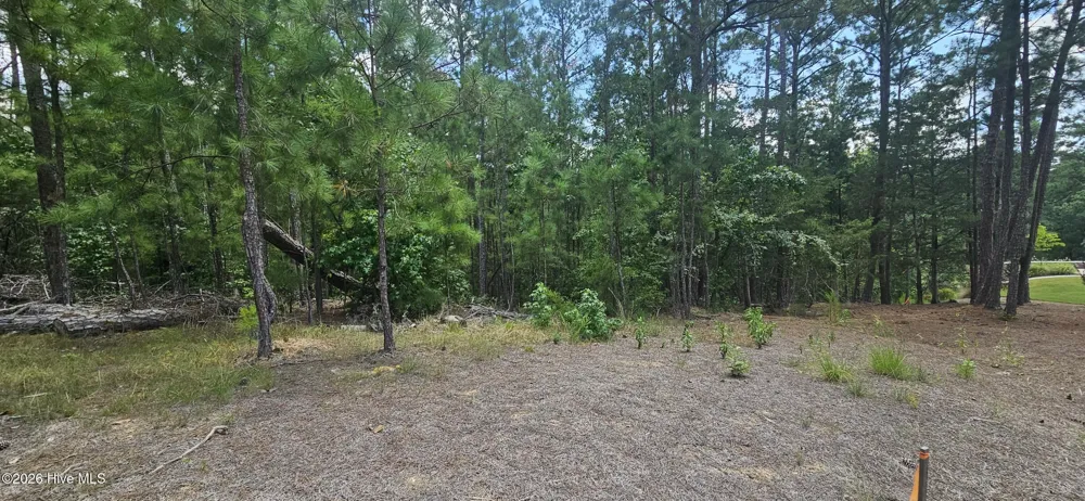 Lot 2 Amelia Drive Mccormick, SC 29835