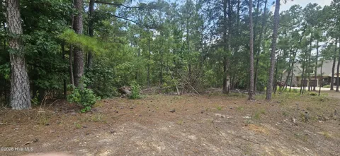 Lot 2 Amelia Drive