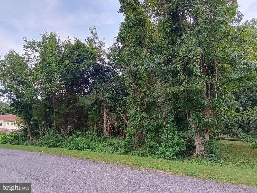 AMERICAN DRIVE Montross, VA 22520