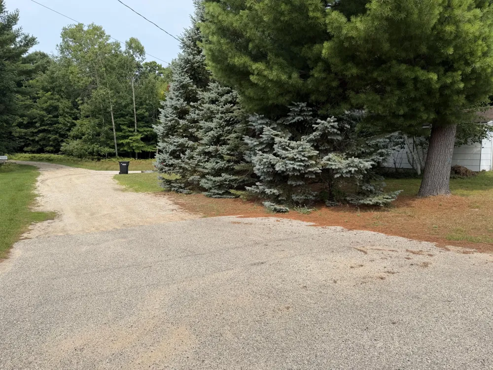 13134 Hopkins Forest Drive Bear Lake, MI 49614