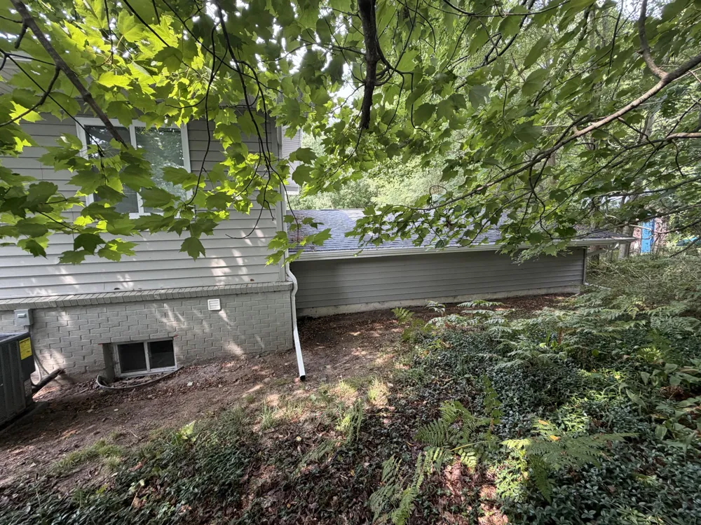 13134 Hopkins Forest Drive Bear Lake, MI 49614