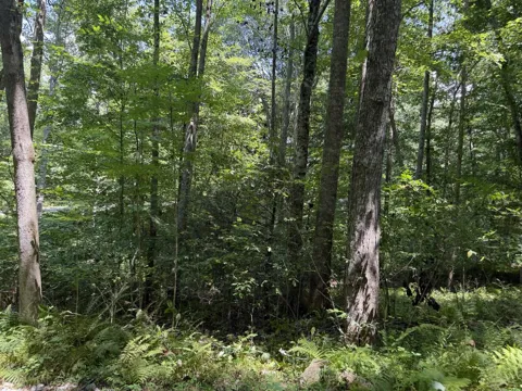 Lot 5 Blair Creek Ridge