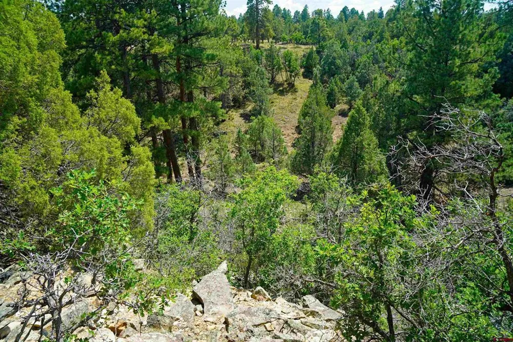 Hummingbird Trail Ridgway, CO 81432