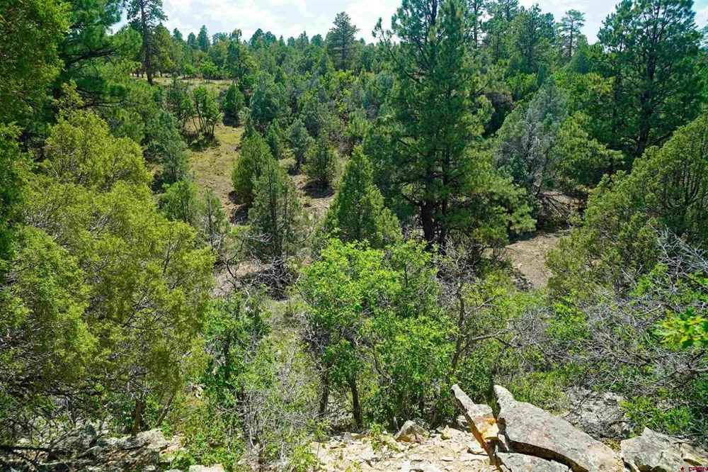 Hummingbird Trail Ridgway, CO 81432